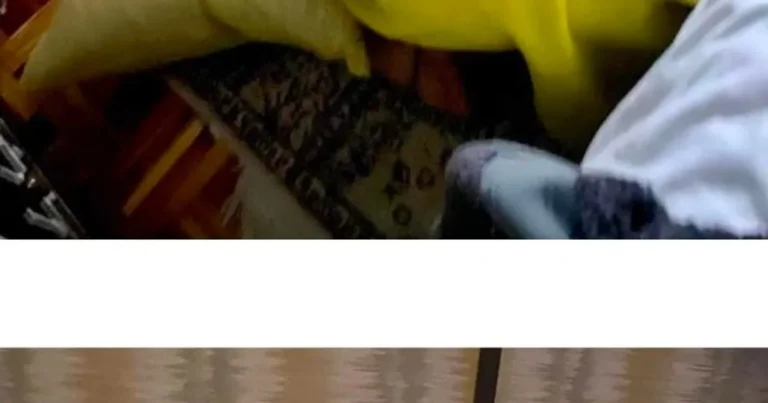 남자들은 이해못하고 여자들만 이해하는 사진.jpg