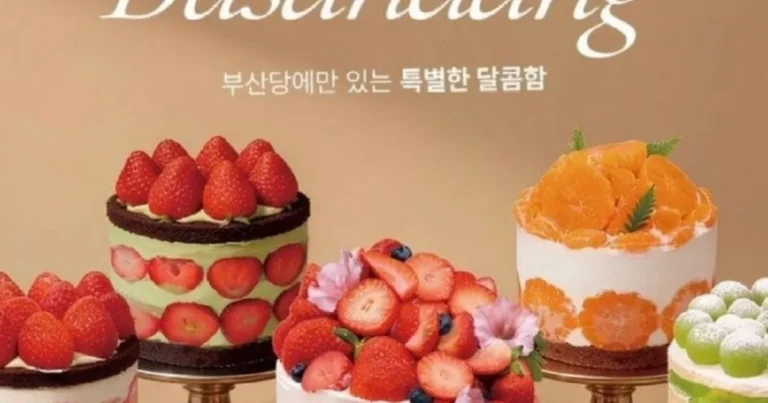 ‘성심당 카피논란’ 부산당에 대한 성심당 입장