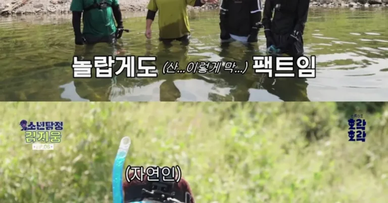 일주일에 400번 재방송 나는 자연인이다 재방료 ㄷㄷㄷ