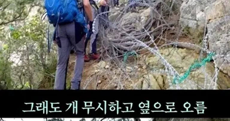 경고문 시체 사진을 노모자이크로 넣은 이유