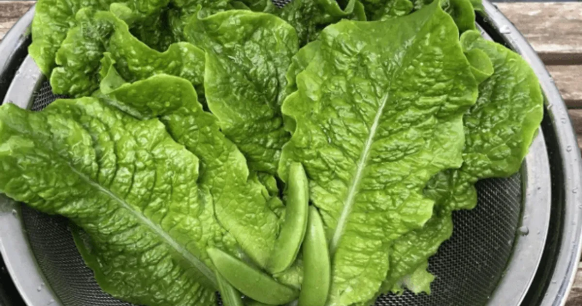 F2d7afcc8020a5726159f54dda6aac0c63fe8ae5b93b4c6a5cf7c914c1c647e9