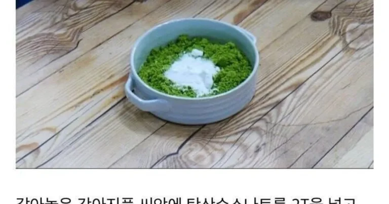 강아지풀 라면
