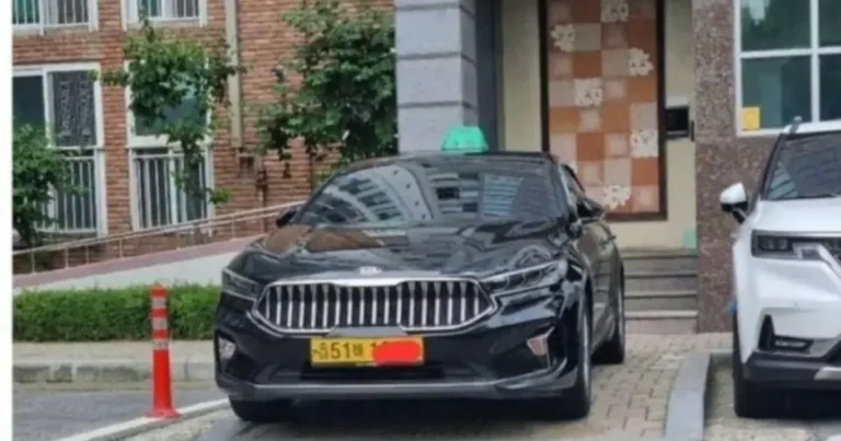 아파트에 등장한 신박한 택시 주차빌런 등장,,