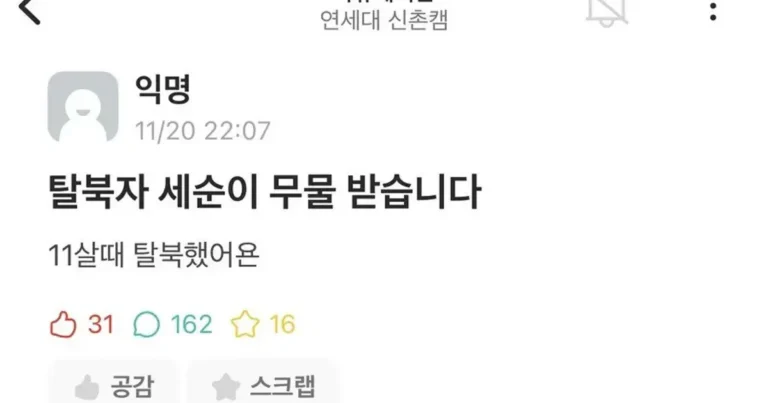 연세대 에타 탈북자 여자신입생