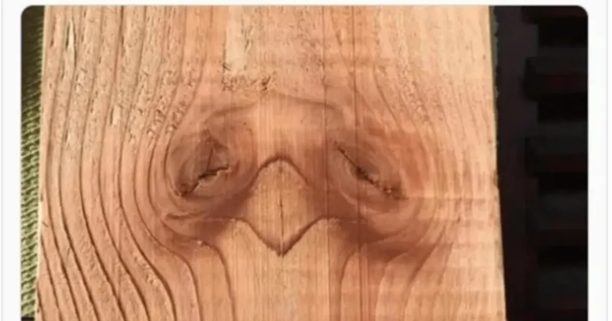 146689fb29974689e01a2e9dc277b424b71c79d4641c07bd976fe6f4e4e8b850