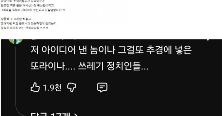 정부 중국인 관광객 짐캐리 예산 전액삭감.JPG