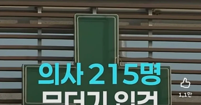 의사 215명 집단 입건