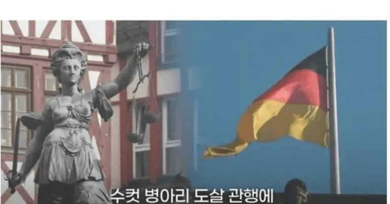 수컷병아리 도살관행이 안타까웠던 독일