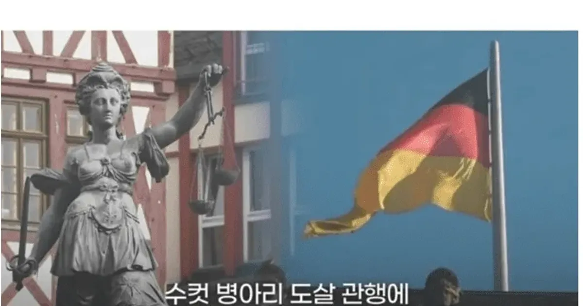 30fb12ade5a27504795df43f7d32ebab242eb8d38df1c12d321cd4f64f8a4590