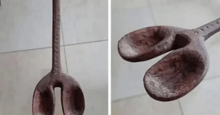 목적이 확실한 고문기구 ㄷㄷ