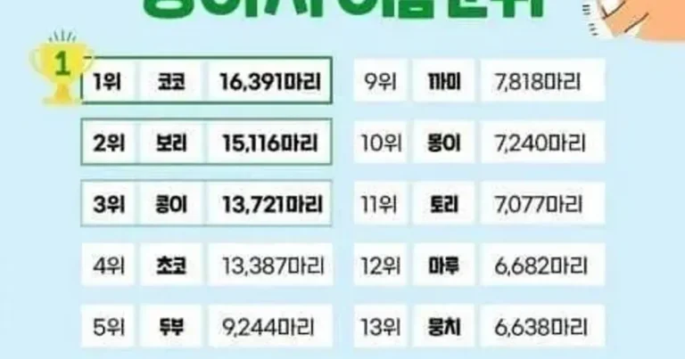 가장 인기있는 강아지 이름 순위