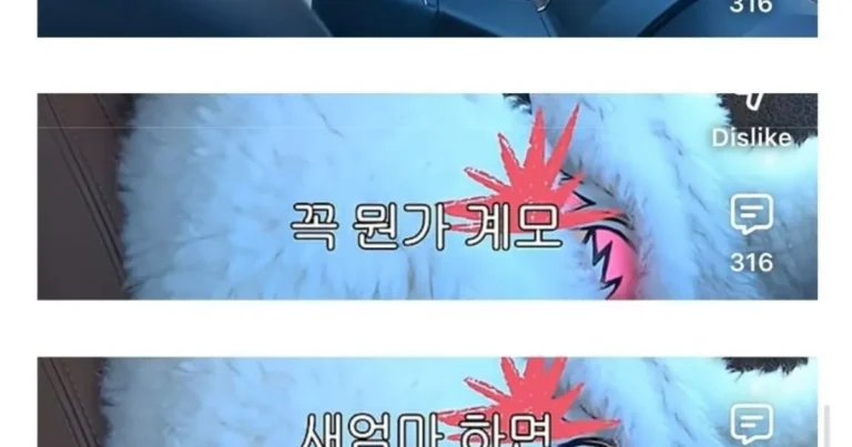 서인영 새엄마가 서인영을 위해 포기하신 것