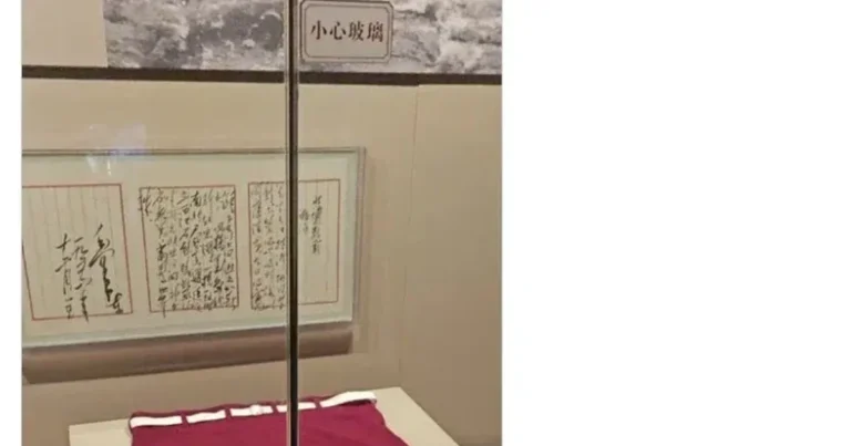 중국에서 국보 취급받는 수영복