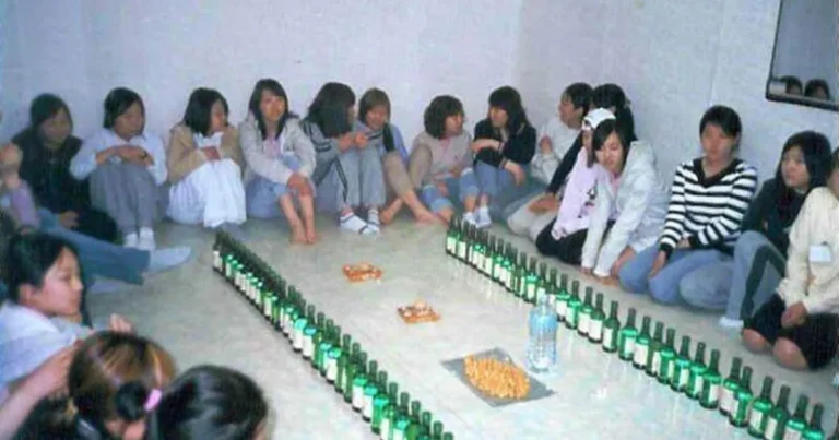 20년전 여대생들 주량