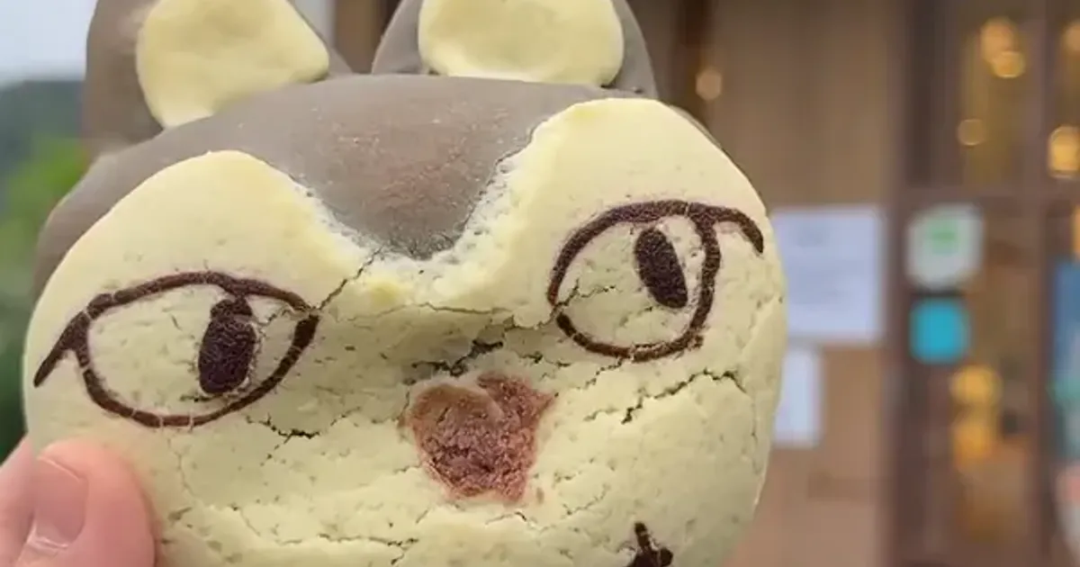 5322da3e1a9fef8566d4b7069ecdd7015e317f4729b15e71129216c0de6240fc