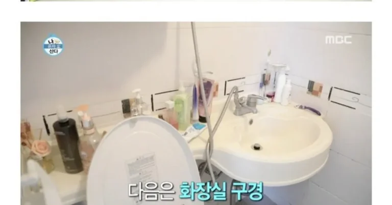 상상 그 이상을 보여주는 연예인들 돈 버는 속도