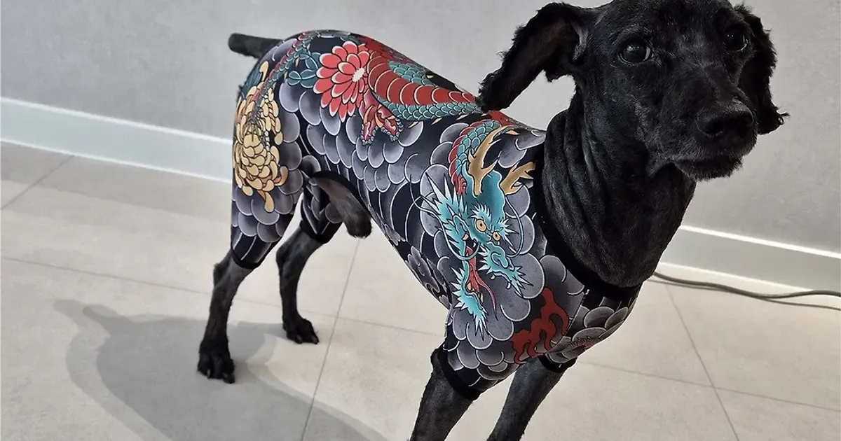 5985dfdee7d5aa2c402a8f4627fd484146a8500324830857b1a05e7c3c07a416