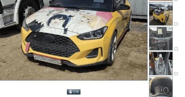 싱굴벙굴 굴푸어 근황