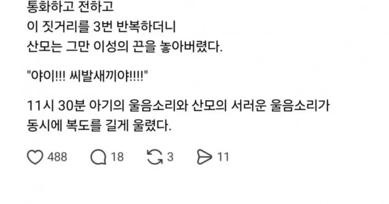 펌) 출산 당시 너무 힘들어 보였던 옆자리 산모 목격담