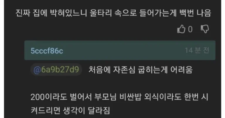 대기업만 바라보다 인생 종치기 vs 좋소들어가서 인생 망하기