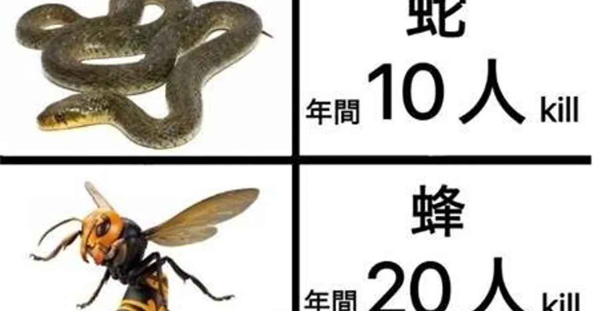 6d8822f530a377787866f00ab8ae8219e3406c334b367a3020e7783de446d58f