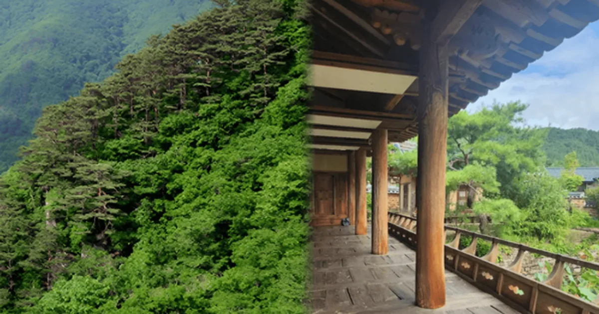 6fcc2cc5026f7b134eddc0be4a90380250f7c6d2d188ff1e9fc00dff5edf0a39