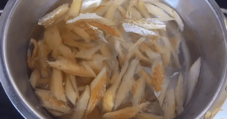 영양사가 말한 “소고기보다 단백질이 5배 높다는 의외의 음식” 1위 이것.