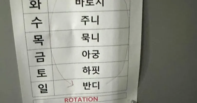 숏치고 중소기업 끌려왔다…걍 죽고싶다…