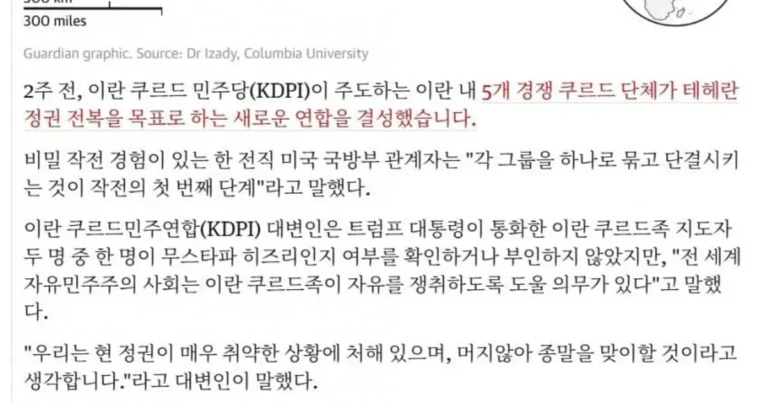 가디언)이란-이라크 국경 공습 발생