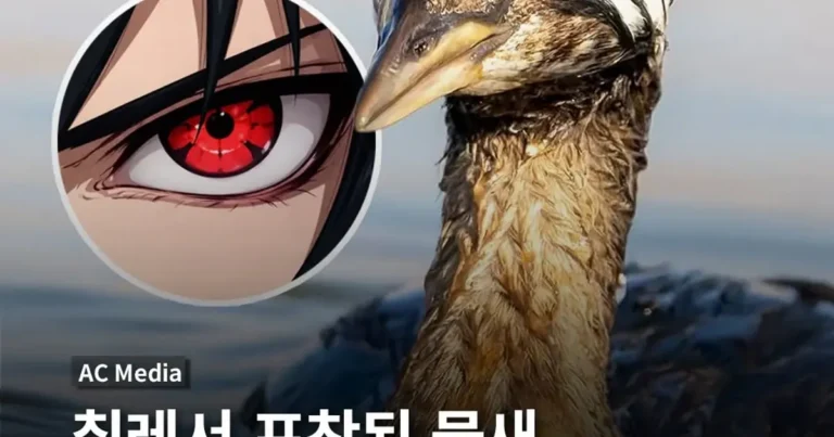 이번에 발견된 사륜안을 가진 물새