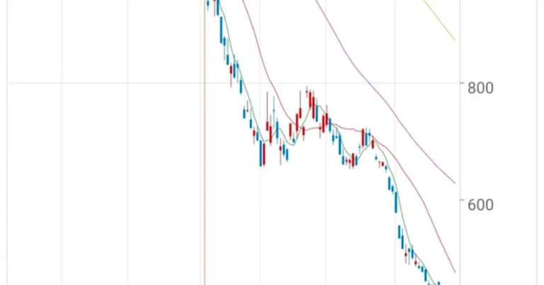“3000 간다 설레발치길래 코스피 1억6천 인버스 2배 샀음”