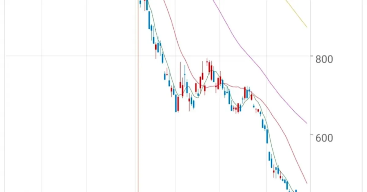 9023e6864a6adae9b38181a27320e352bf3d96dc97e3e69e641c9fc303cd9e0c