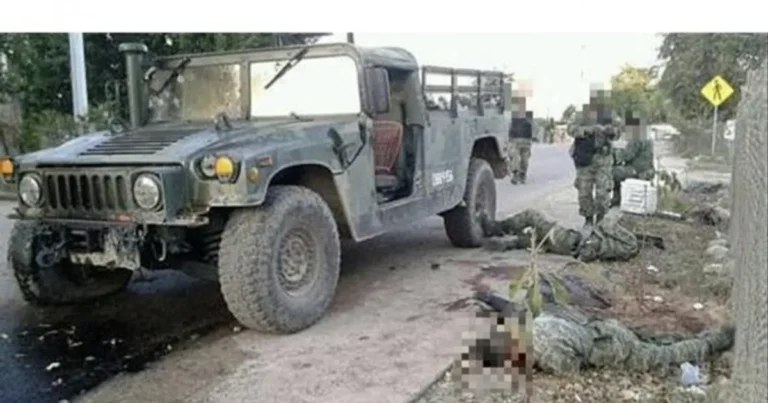 아는사람이 드물다는 멕시코 카르텔의 역사