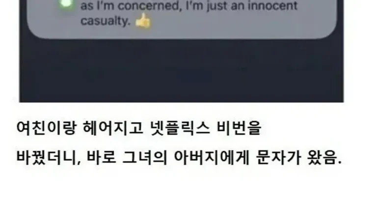 여친이랑 헤어지고 넷플 비번을 바꿨더니