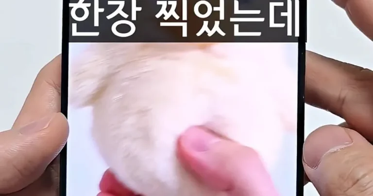 10년 차 갤럭시 유저도 몰랐던 숨겨진 꿀팁 2가지