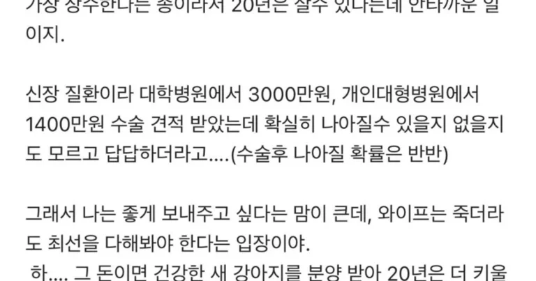 강아지 수술비 1400만원으로 이혼 직전이야…