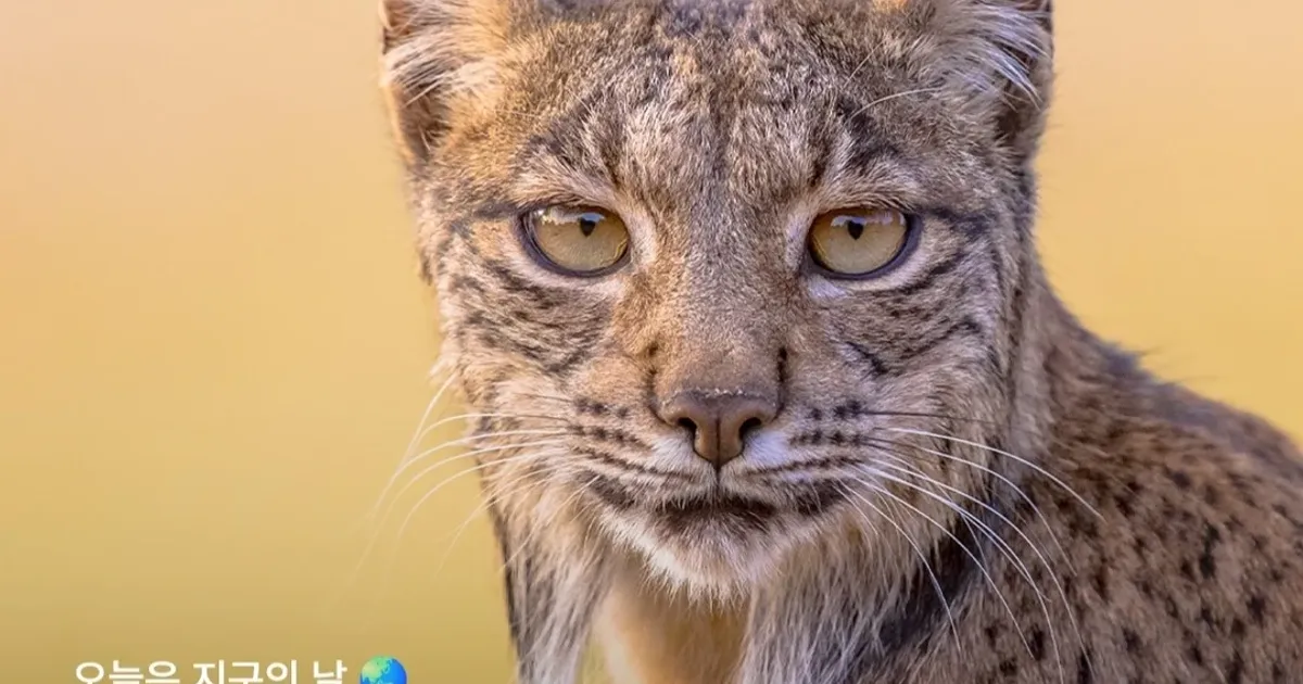 B6c5c84736d2b9e0aabda4c845eb8c8e8f810885d85fc56da815b74d85ee1867