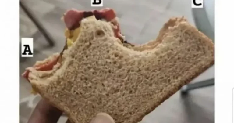 해외에서 댓글 9000개 찍힌 난제