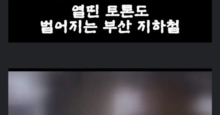 전장연 지하철 분탕질 모범 대처법