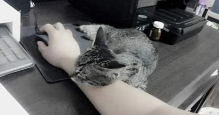 오늘 우리애기 13번째 생일이에요 *^^* 자랑자랑