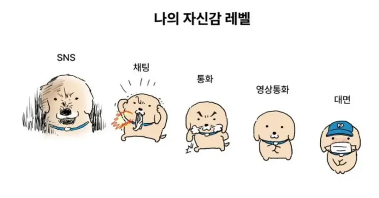 나의 자신감 레벨