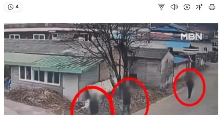 진천 일가족 묶고 폭행한 3인조 강도 정체