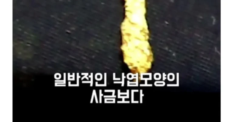 그 많던 신라의 황금들은 전부 어디로 갔을까?