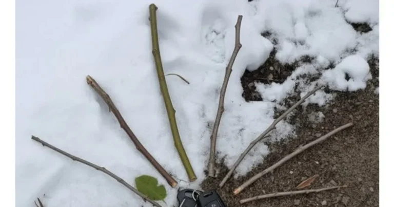 조깅 하다 차키 읽어 버린 사람