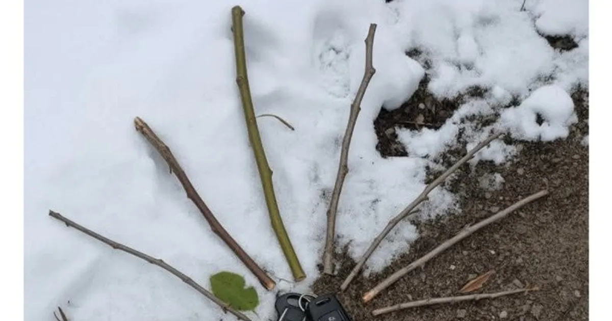 D74610a504aed1e5d51d338008393da08fa1f33e2df88272b191ac2469529c2a