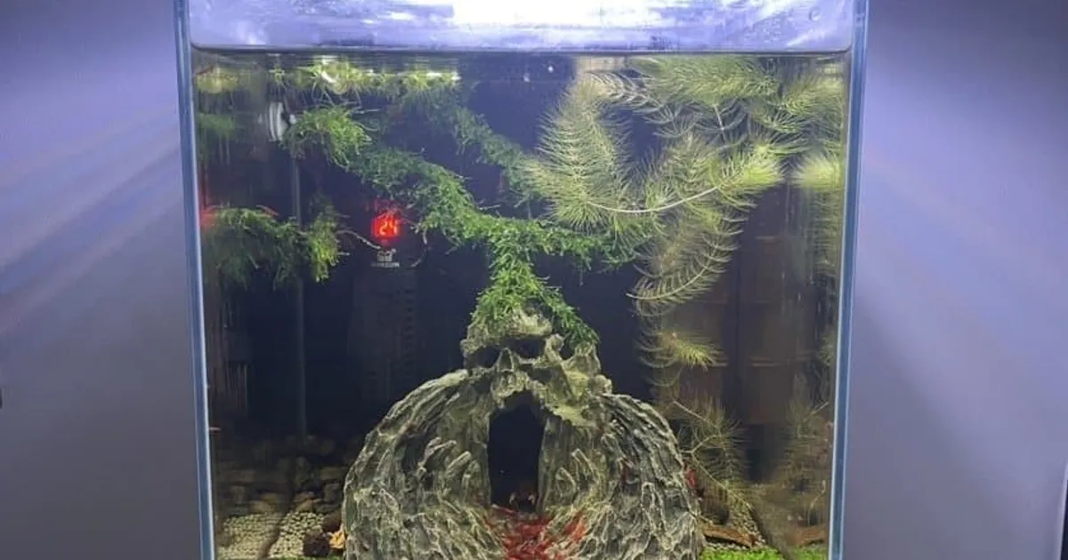 D7e4f26625e067be6fd5272472c7dd11798105d583ba45cc1062111807224190