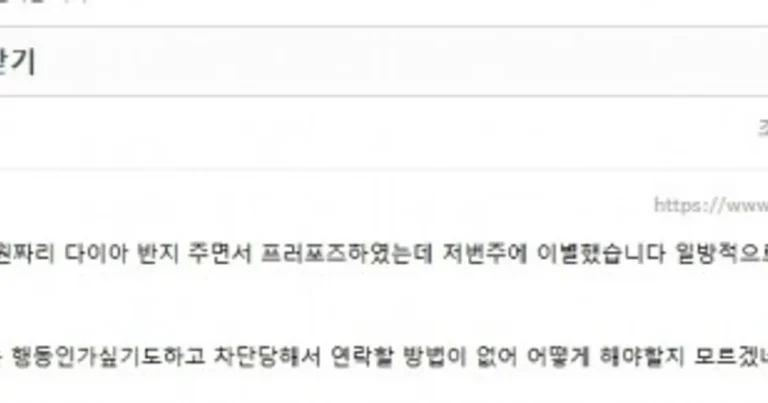 전여친에게 200만원짜리 프로포즈반지 돌려받고 싶은 남자