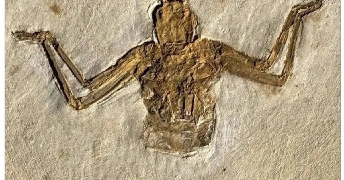 E533c8f35dafd9fbee2a102f60a1ce136d74380f6b05fb3bf637b12a6462ff58