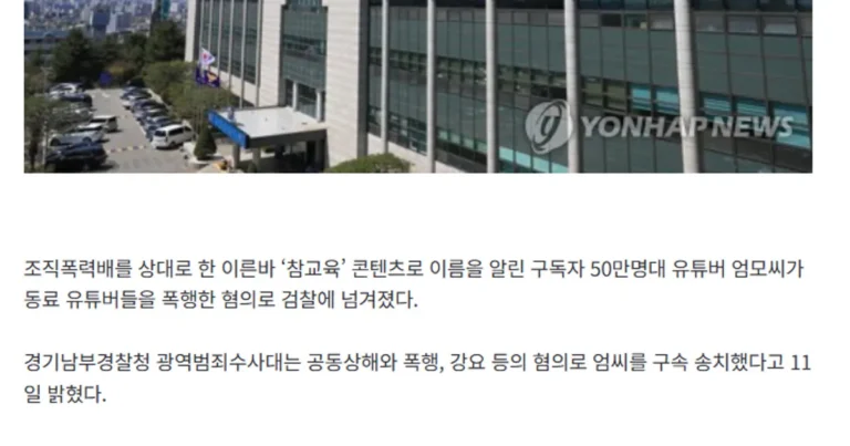 ‘조직폭력배 참교육’ 50만 구독자 유튜버 엄모씨, 구속 송치