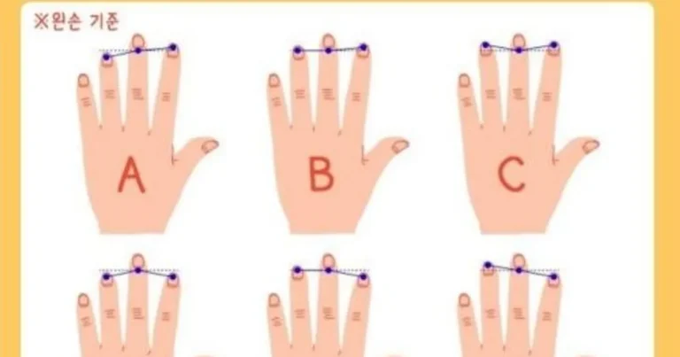 손가락 길이로 보는 뇌성격 테스트